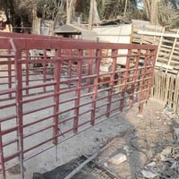 محجرات • مناسبات • نجف