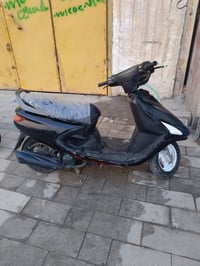 فراشة • البصرة • المدينة