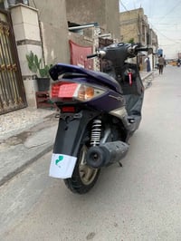 سكنس فحل • فئة الكولد • كفالة عامة