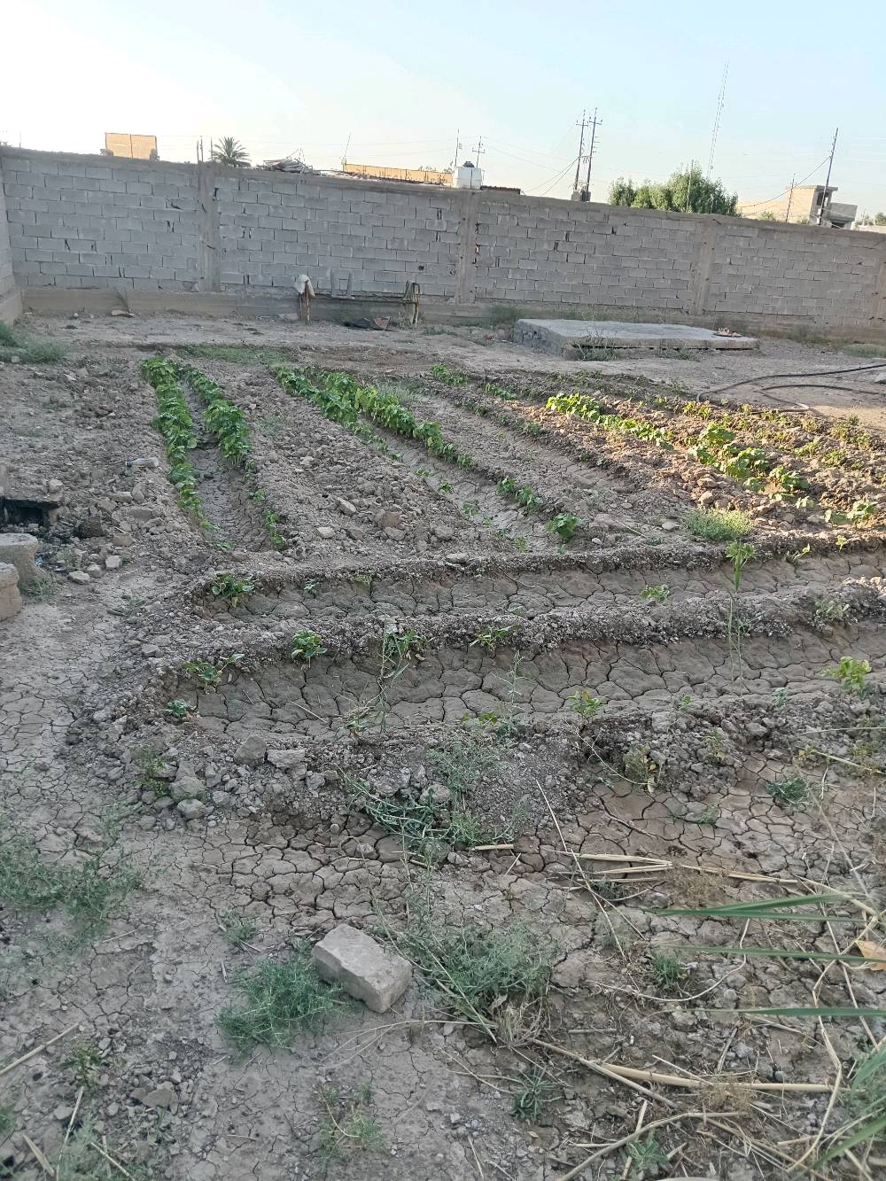 السلام عليكم   قطعة ارض للبيع 700 متر عليه دار طابقين  متكون 2 نوم استقبل ومطبخ وحولي وصحيات في الطابق الاول وفي الطابق الثاني متكون من 2 نوم ومنور وصحيات علمن دار مجاز 300 متر وتنزل حصه في سند25 الدوره هوررجب قرب شارع حي السلام وهذا الرقم ***********
