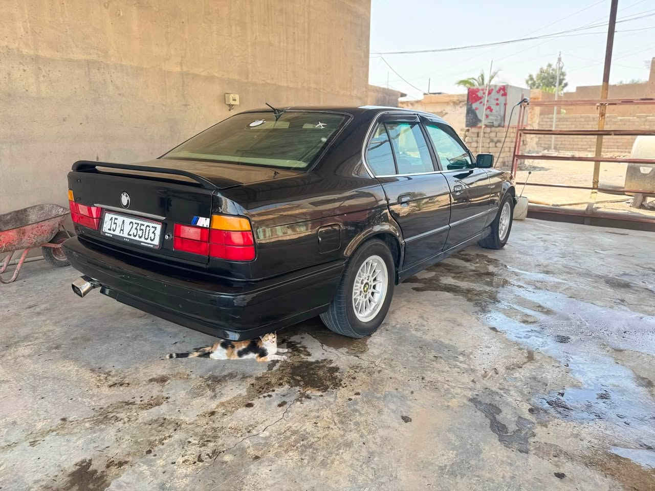 بي ام 525
موديلها 1994
 مسكر فانوص شرط 
كير اوتو شرط 
داخلها جديد جلد 
تبريد ثلج شرط
جام كله كهرباء 
السياره خير من الله صبغ عام وصبغتها حلوه بدون حادث 
 السعر ٥٥ وبيها مجال الشراي ***********
