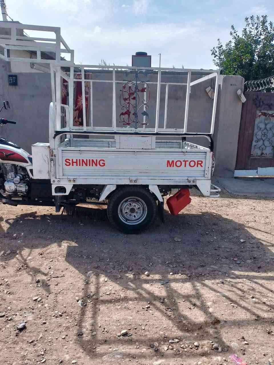 ستوته • جاهزة • مكفولة
