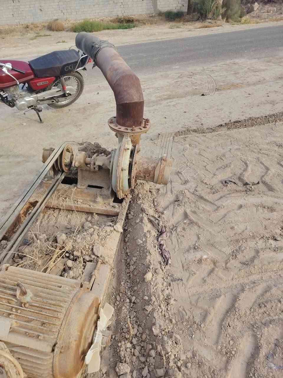 ماطور ١٥ حصان • خنزيرة هندية • شغال