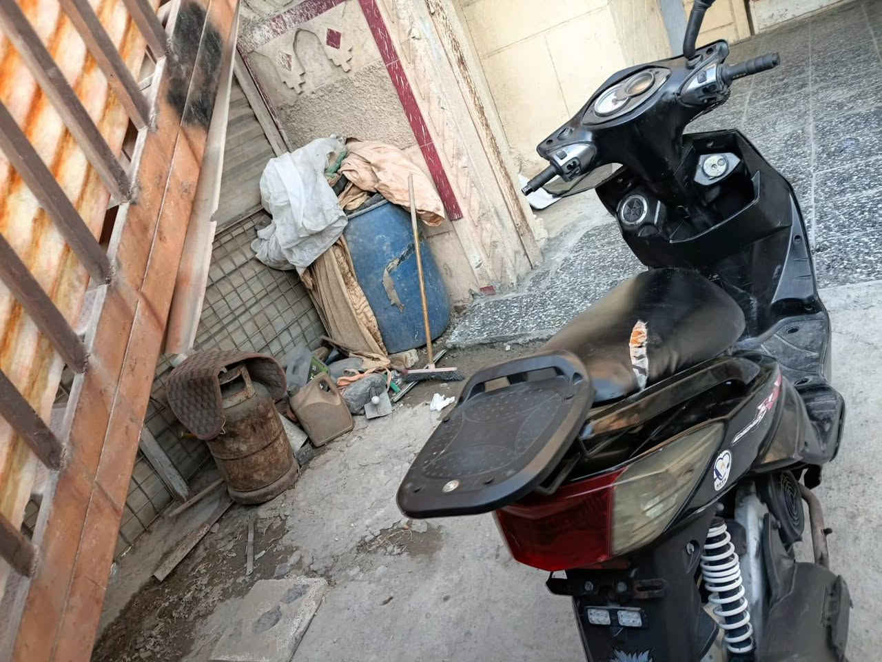 سكنس فحل • جاهزة • ما بيها نقص