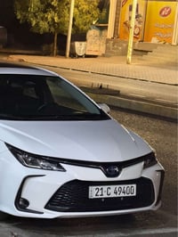 بيكاشو هايبريد • ٢٠٢٤ • رقم كركوك