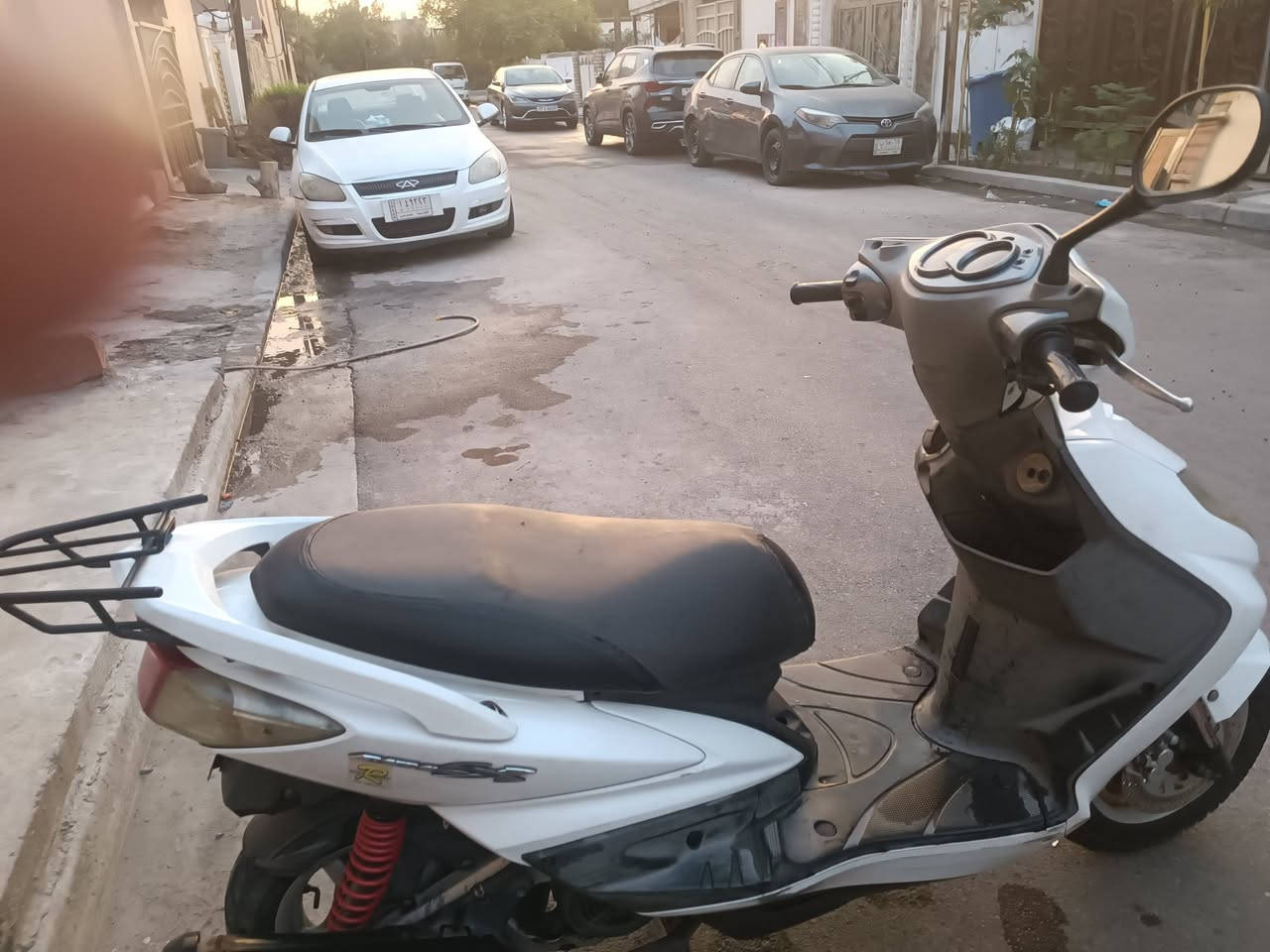 سكنس فحل • ياباني • دبلات رياضي