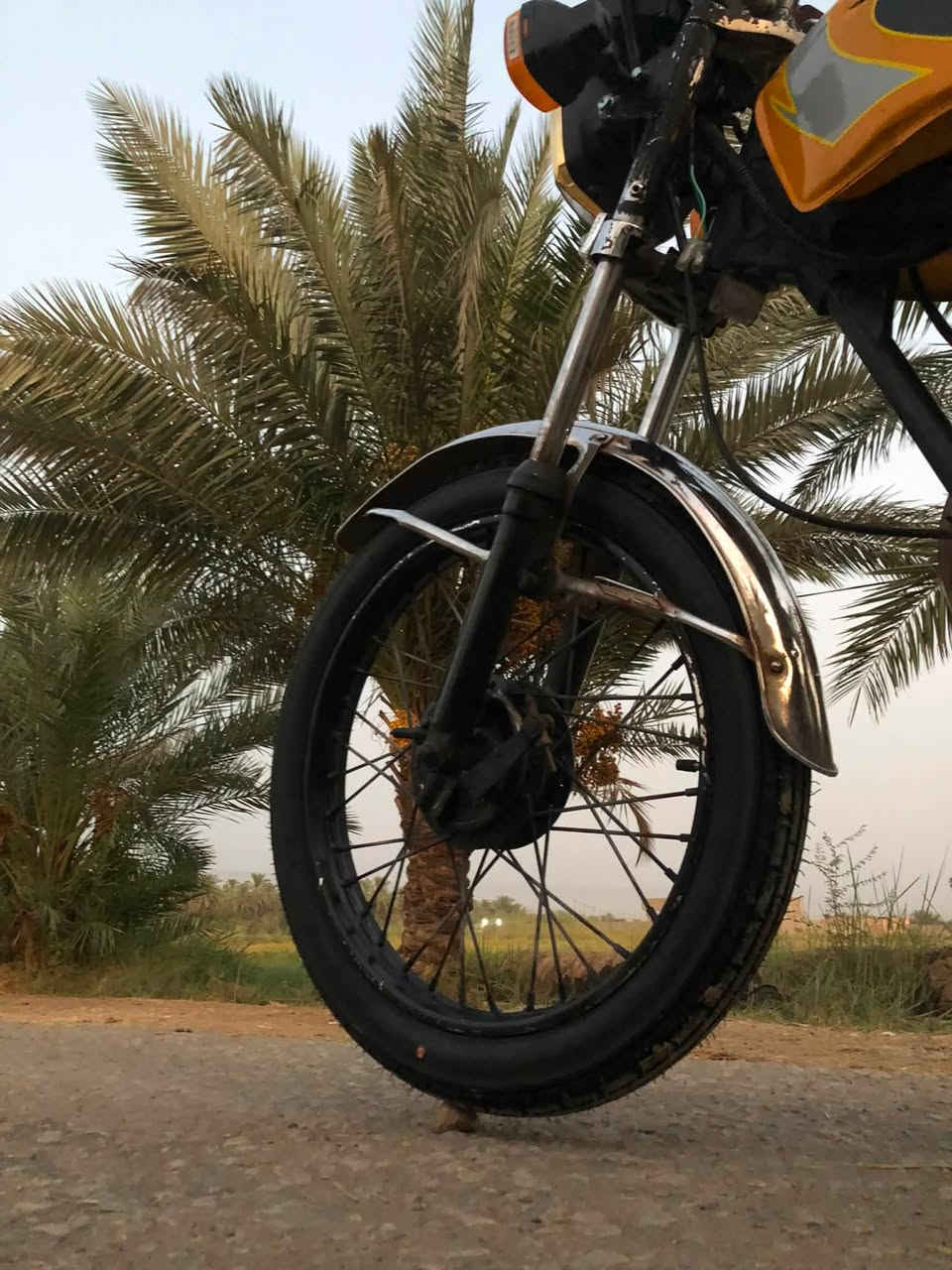 للبيع نامه 2019غراض كله جديد
الدراجه خير من الله 
(الدراجه كلك )
الهاتف ***********
