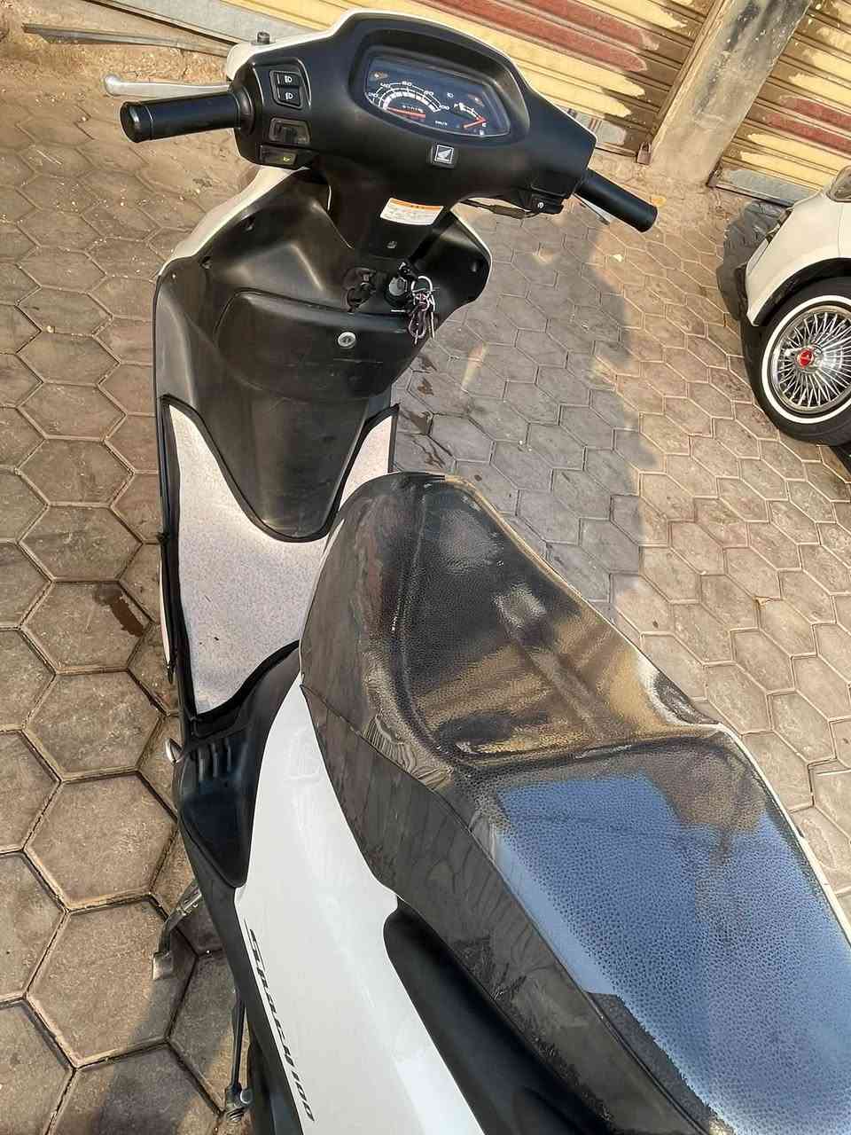 سبيسي • كفاله عامه • رمبه