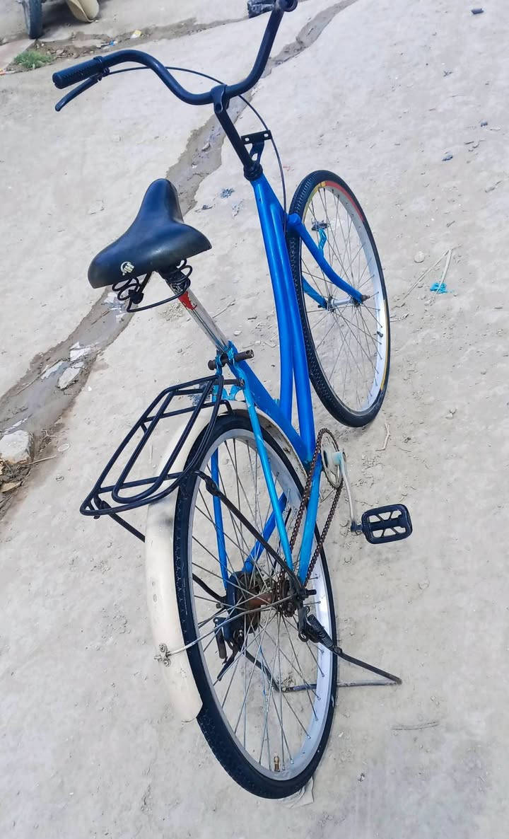 باسكل • نضيف • سعر مناسب