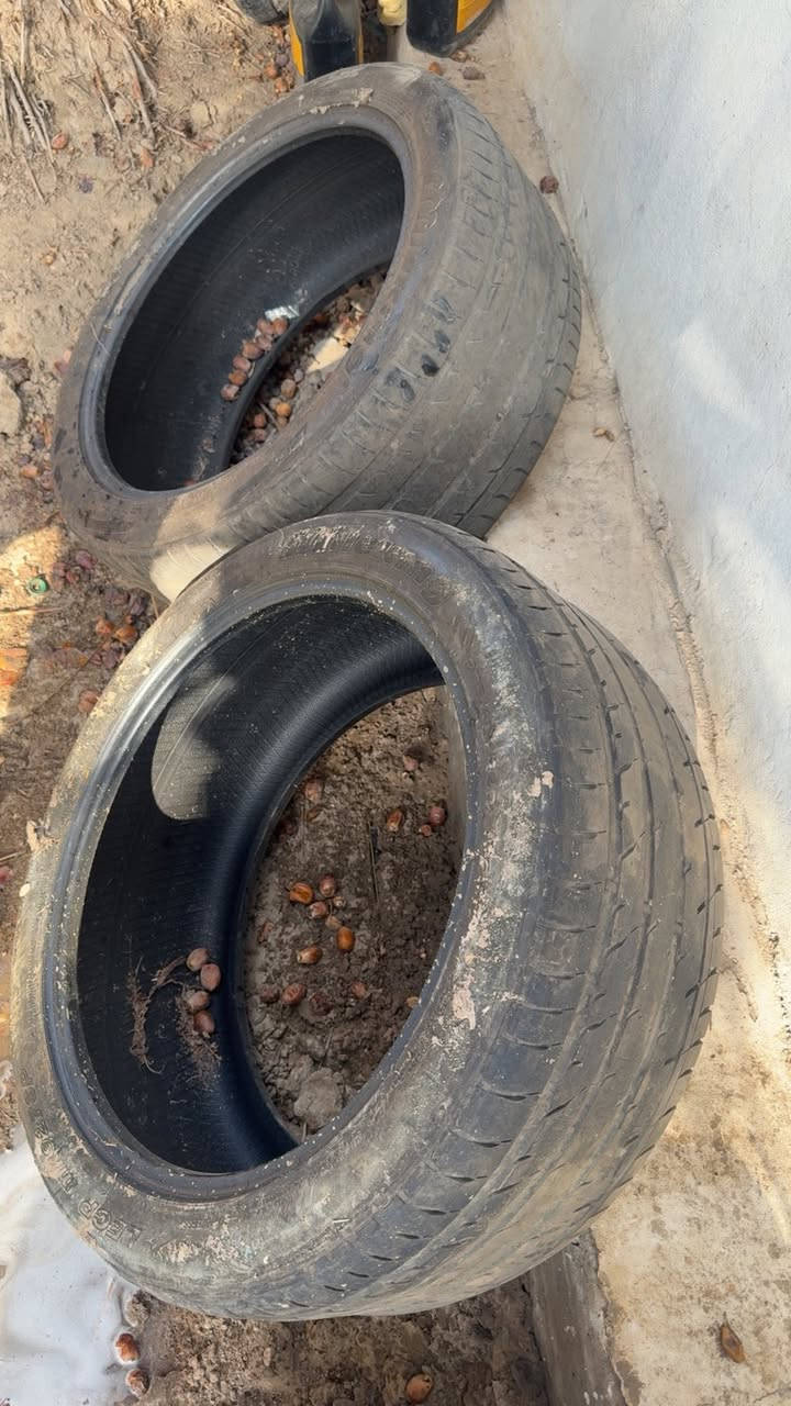 سلام عليكم غراض للبيع 
بنيد جارجر اسود بي طخه بسيطه بلمقدمه فقط بارد اصلي مو تجاري 

تانكي جارجر 15 نضيف جداا 

تايرات عدد ثنين نص عمر  قياس 275-40

كلهن ب250الف وبيهن مجال 

مكاني بابل ‭***********‬
