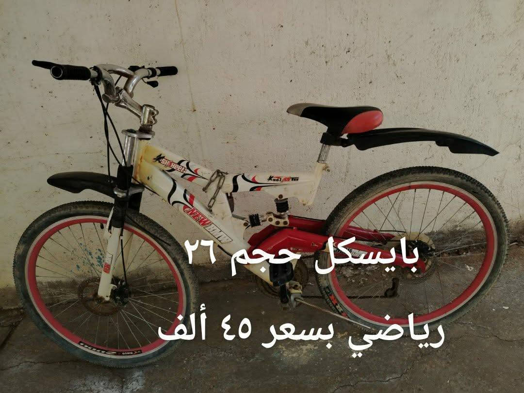غراض للبيع غير متواجد على الفيس 
*********** كوفة شارع المطار الجديد

نص مكتوب في الصور:
- جهاز بخار تنظيف
- بالكارتون بسعر ٥٠ ألف
- كرسي مكتبي بسعر 50 ألف
- بايسكل حجم ٢٦ رياضي بسعر ٤٥ ألف
- طيور كوكتيل عدد ٣ فحل يغرد أليف مع ٢ نثايا بسعر ١٠٠ ألف كلهن
- مكنسة كهربائية جديدة فتحتها لغرض التصوير والفحص سعر ٦٠ ألف