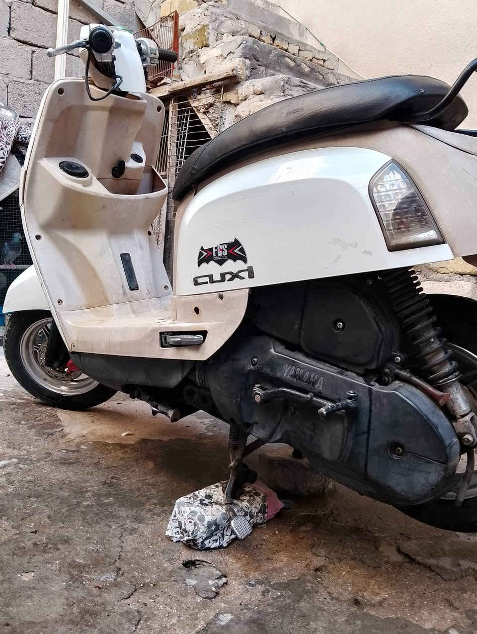 بوليسي • مستعجل • واتساب
