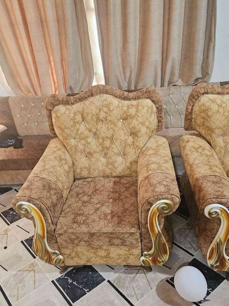 تخم • مستعمل • ١٢ نفر