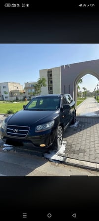 سنتافي • ٢٠١٠ • ٧ راكب