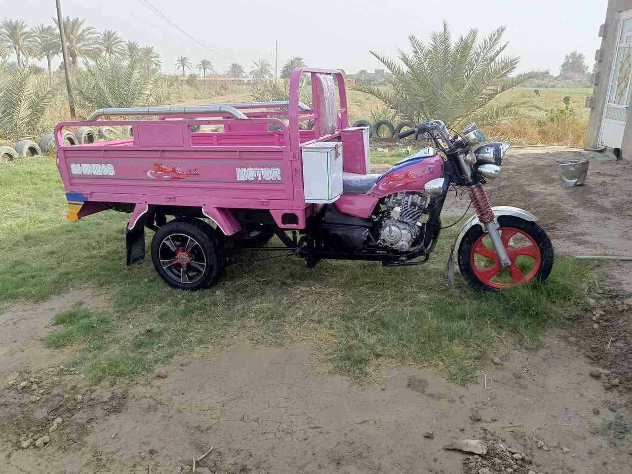 ستوته • موديل ١٨ • اوراق اصولي