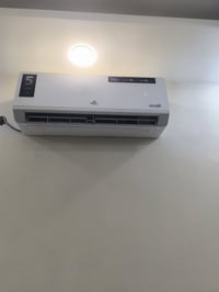 سبلت • ١طن • البصرة مدينة الأمل