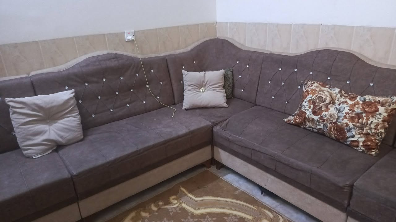 تخم حرف L, للبيع
