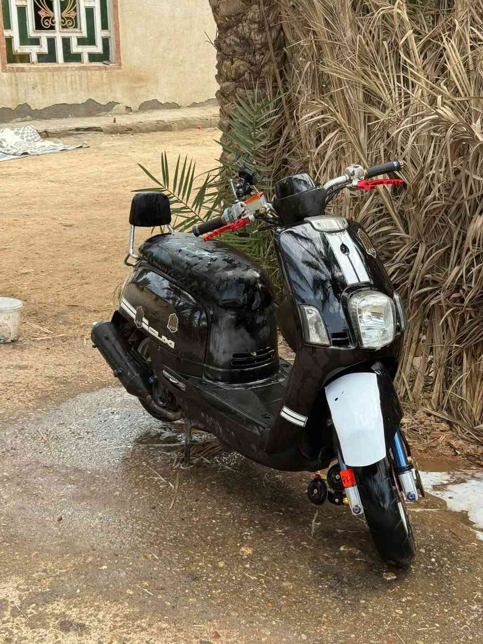 ناشفه • بوليس • مختمه