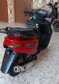 فراشة • الزبير