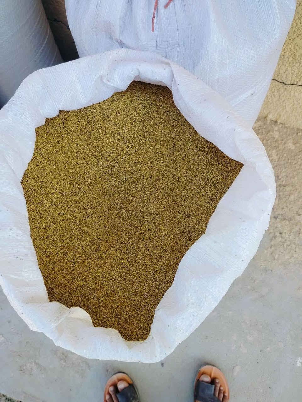 🌱🔥 بذور جت نوعية ممتازة 🔥🌱
تريد جت زين وإنباته قوي؟ لا تدوّر هواي 👌
نوفرلك بذور جت مختارة وبجودة عالية، مناسبة للزراعة ومجربة.
✅ نوعية ممتازة
✅ إنبات جيد
✅ متوفر بالكميات
📩 للطلب والاستفسار دزّلنا رسالة خاص
وسارع بالحجز قبل نفاد الكمية 🌱
*********** عبدالله
***********
