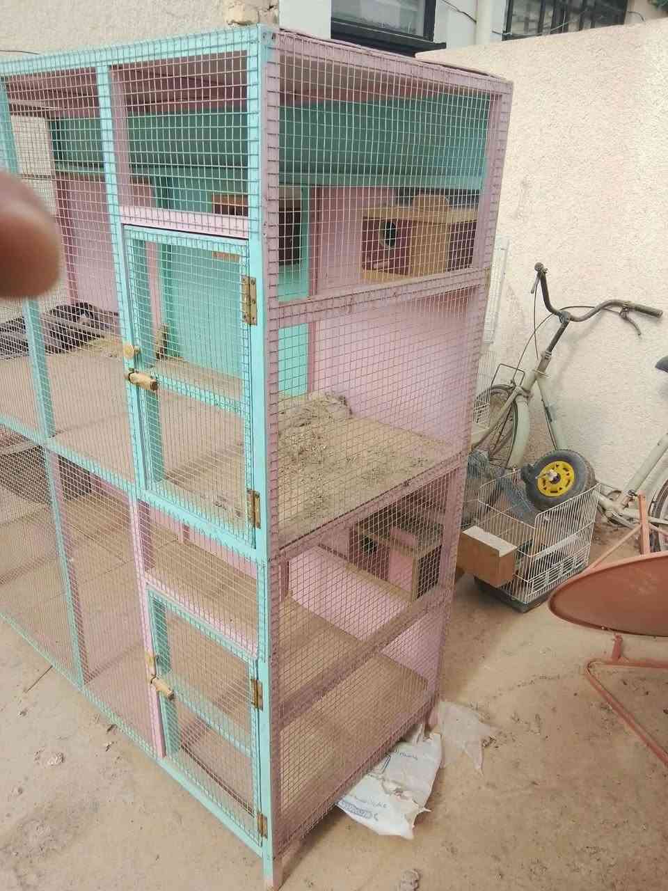 قفص • ٢م×٢م • درجة أولى