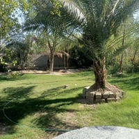 أبي غريب شارع عام • دونم ونص • بيت حديث