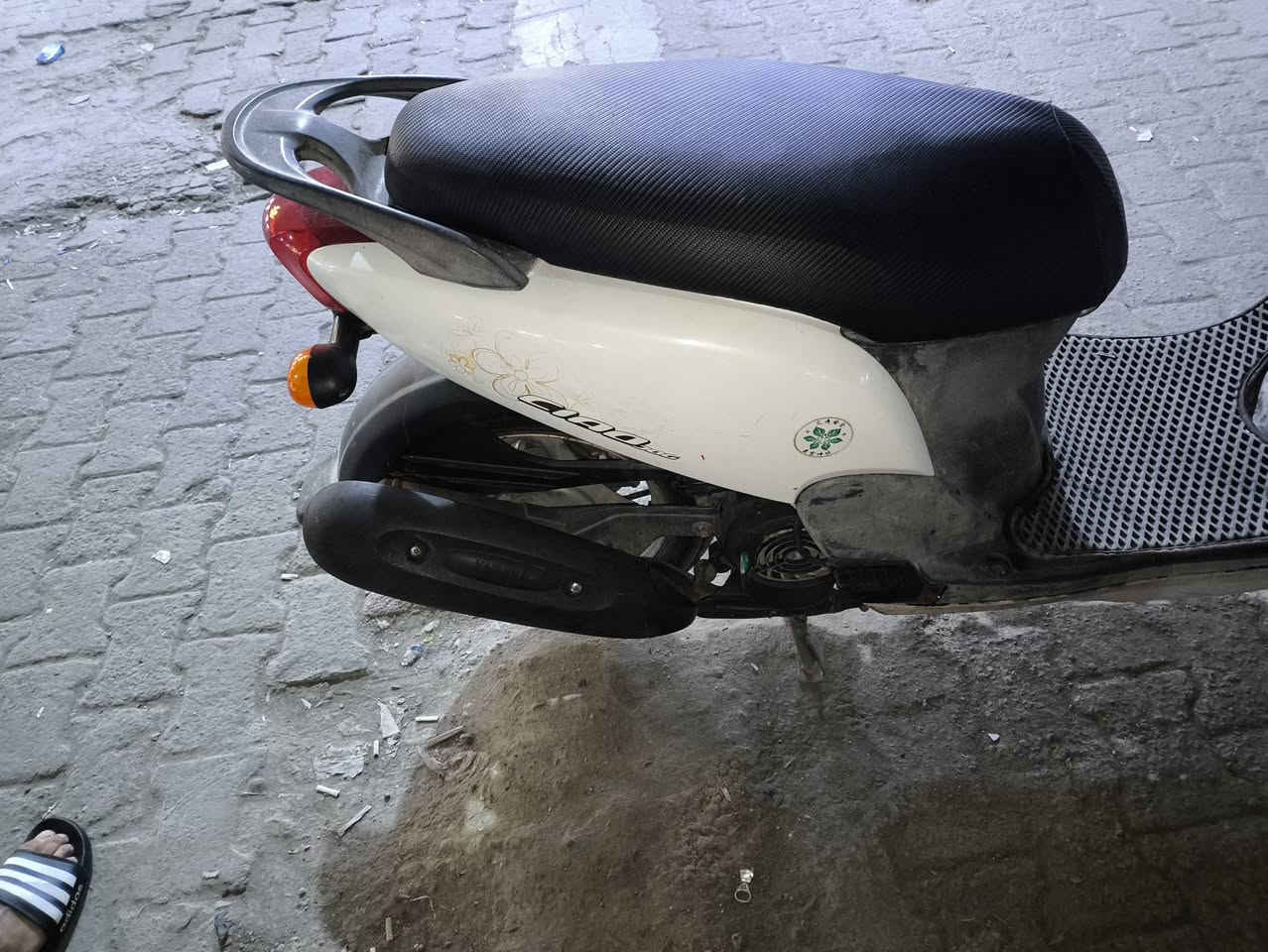 فلة • ٢٠٠٩ • اخرس