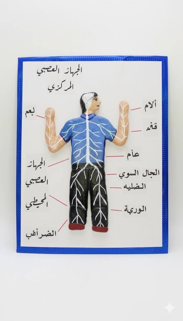 وسائل تعليمية • اعمال يدوية • حسب الطلب