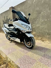 تيماكس • وايت • مكفوله