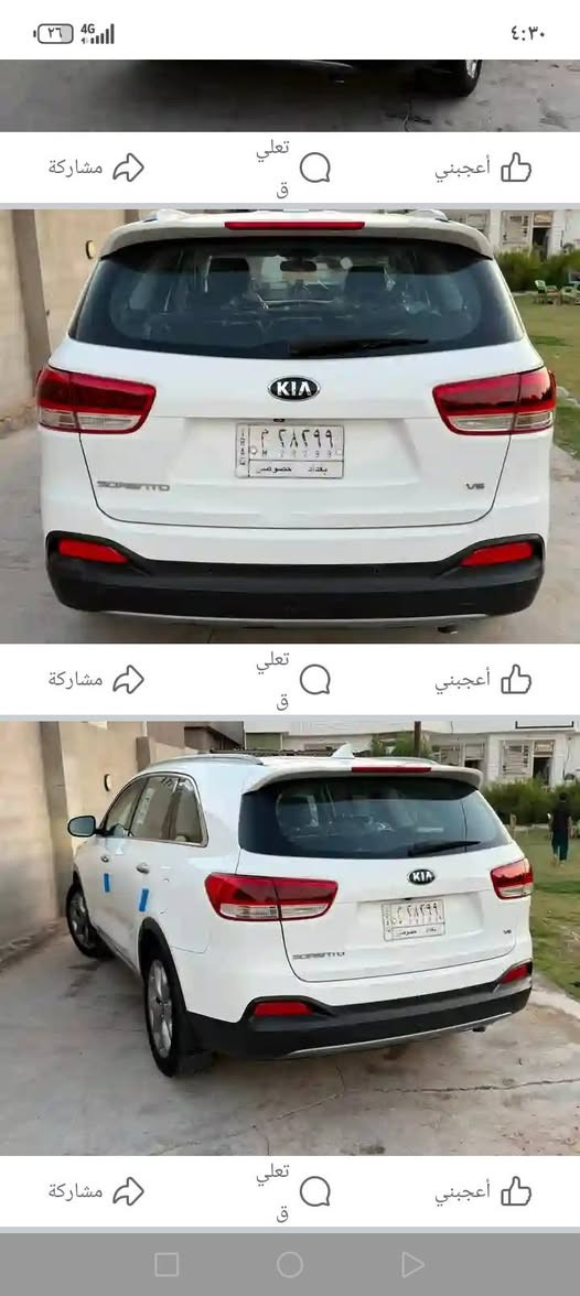 ٢٠١٥ • شكل ١٦ • ٣ قطع صبغ
