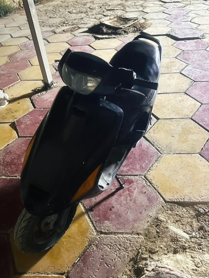 فراشة • نضيفه • مجال حك