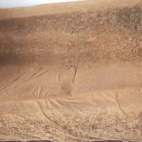 قنفات • ديوانيه حي الامين • دوشك احمر