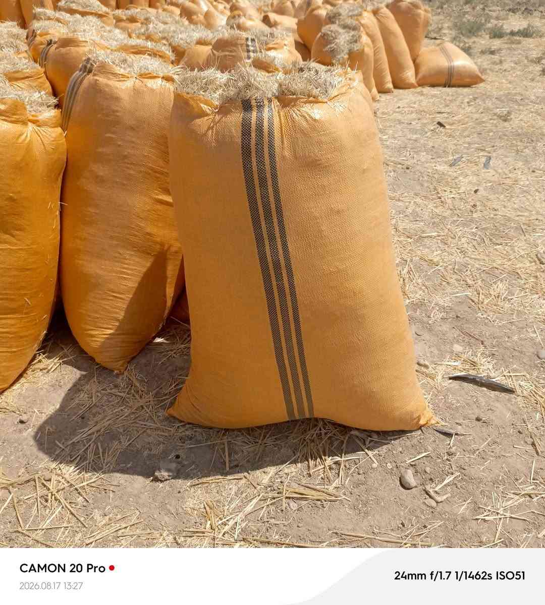 يوجد تبن البيع كمية مفتوحه السعر مناسب سعر الزواج 2500  / ***********
