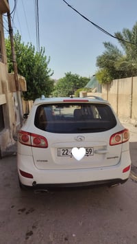 سنتافي • ٢٠١١ • رقم اربيل