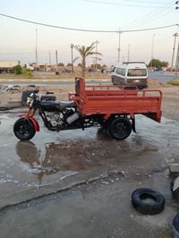ستوته • دايوان • 2014
