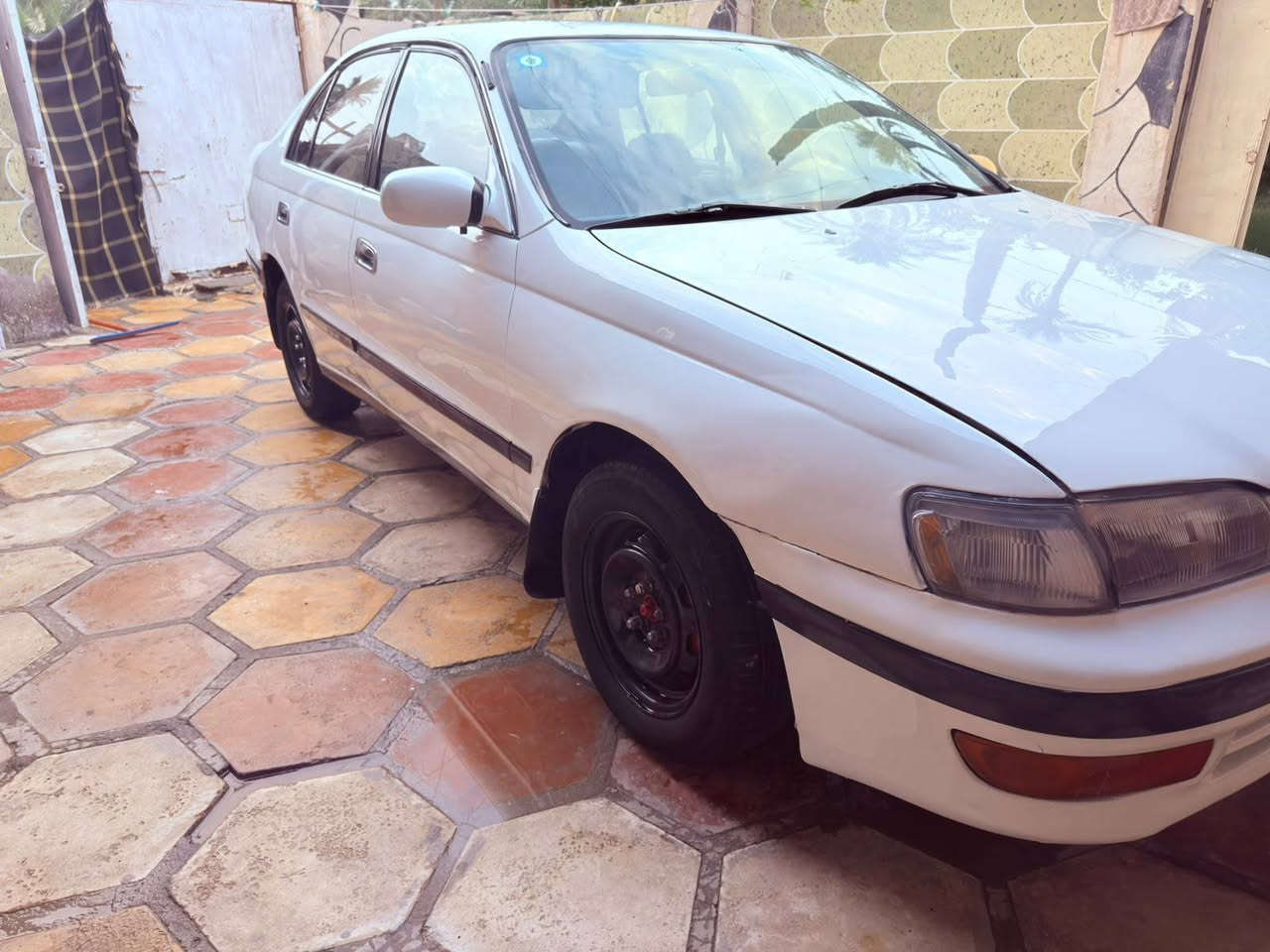 كرونه • ٩٤ • رقم بغداد