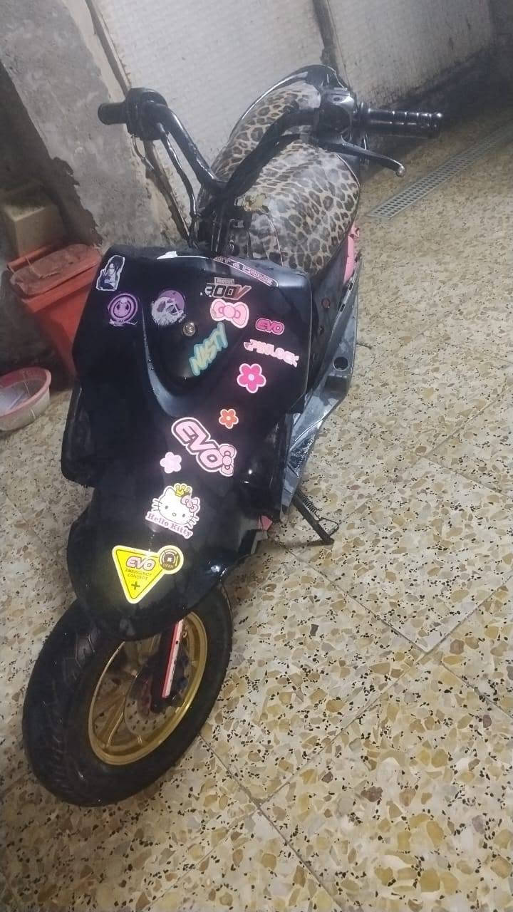 ماكس عدلة • حينصر • بيها مجال