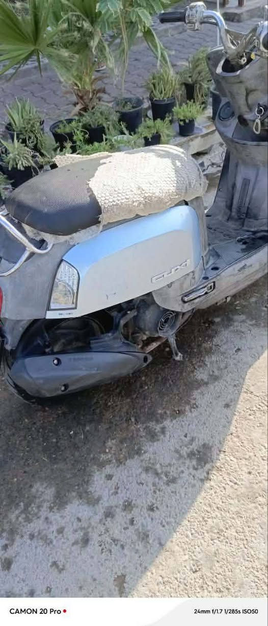 السلام عليكم ورحمة الله وبركاتة 
منرخصت مدير الكروب 
دراجة بوليس بلادي 
الدراجة مفتوحة اول فتحة الها 
دراجة خير من الله 
نكرة سلف هندر شلعتها حلوة معدلها حلو 
دراجة كفراتها بلادية ومولحا كلش
كهربائياتها كاملة لايت عالي ناصي اشاير يمنة يسرة 
الدراجة مستعجل ع بيعتها 
السعر 650 وبيها مجال بسيط كلش 
المكان سلمان باك المدائن 
رقم الهاتف: ***********

