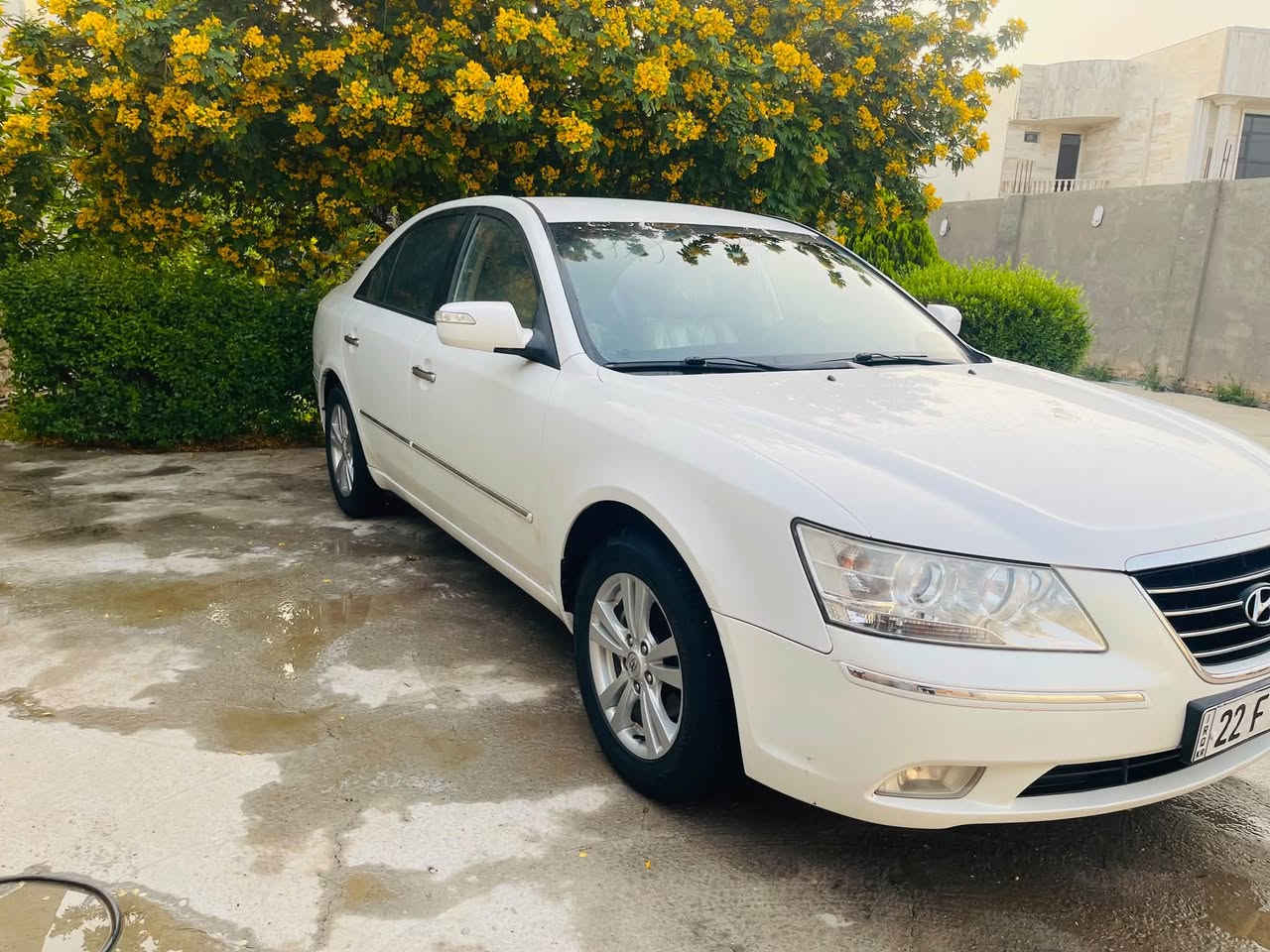 سوناتا • ٢٠١٠ • كفاله عامه