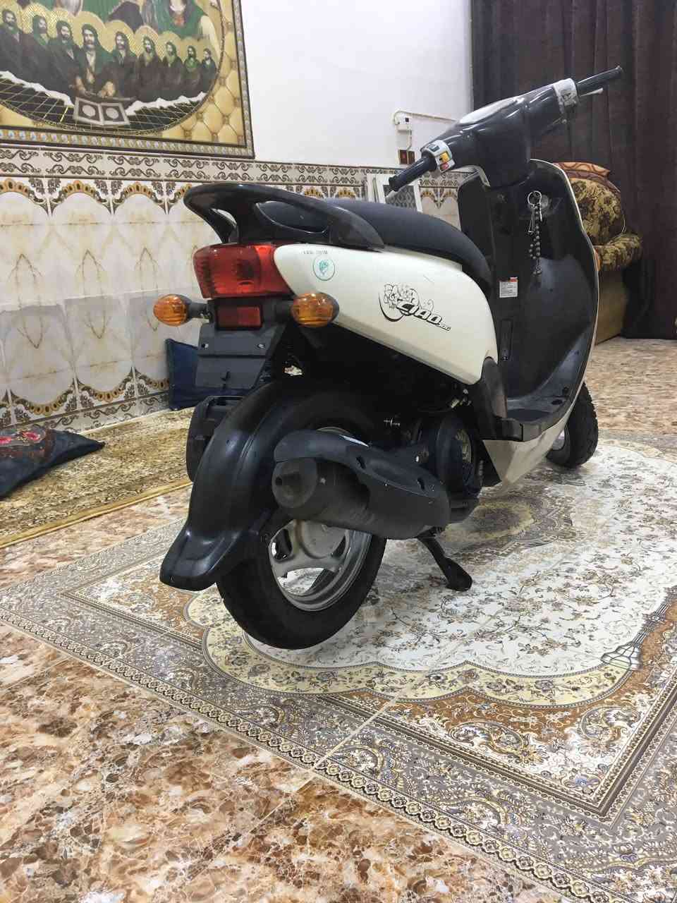 فله • مديل 12 • مكفولة