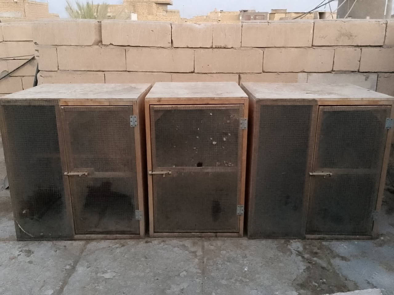 سلام عليكم خانات للبيع مال دجاج  ٣ خانات منفصله العنون ناصريه سوق الشيوخ سعر 50 الرقم ***********
