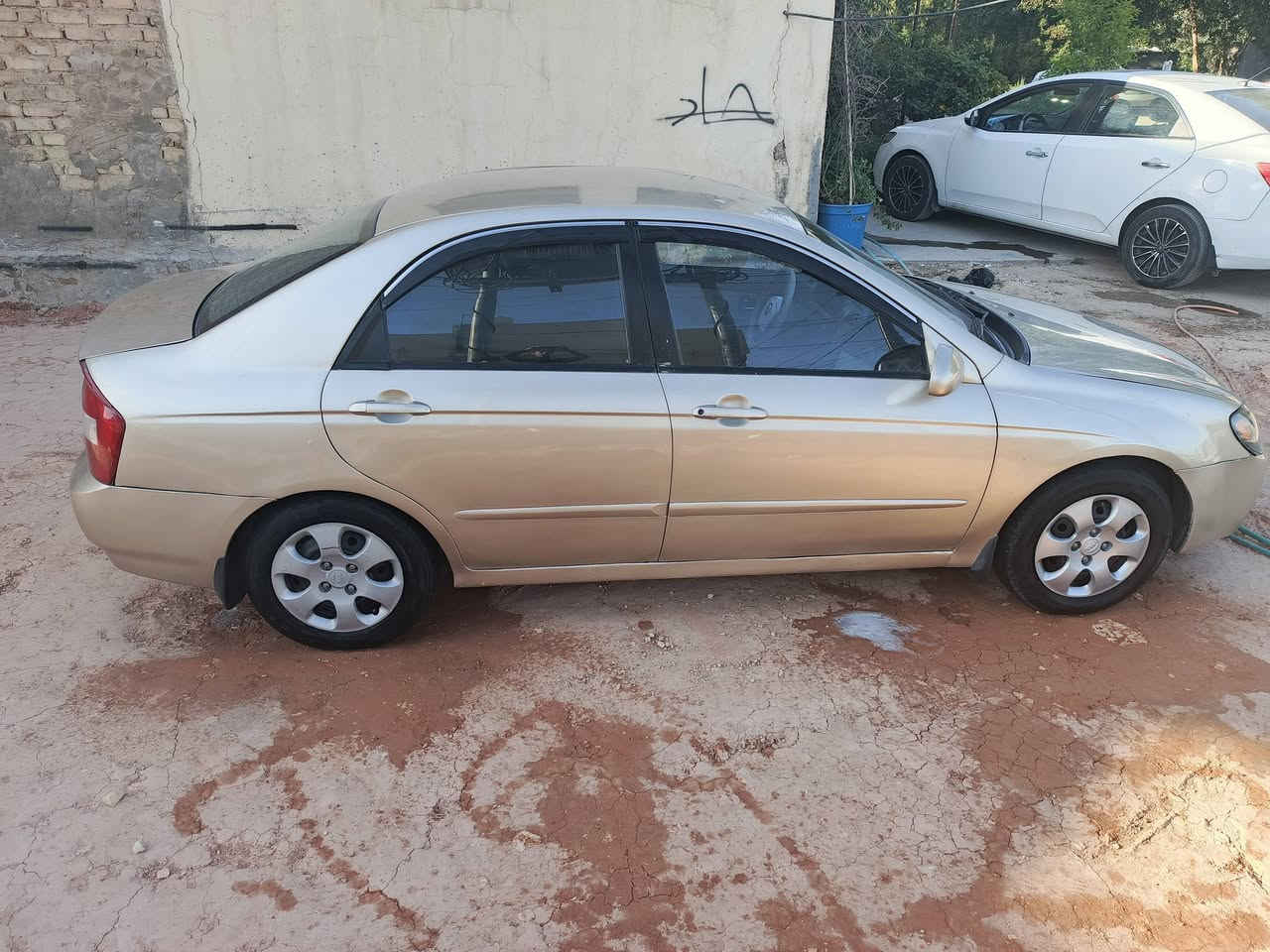 سبكترا مديل 6 مصبوغه عام مكينه تنقص حداديه نظيفه كير جديد دواخل جدد رقم كربلاء مكاني كربلاء سعر 60 وبيه مجال ***********
