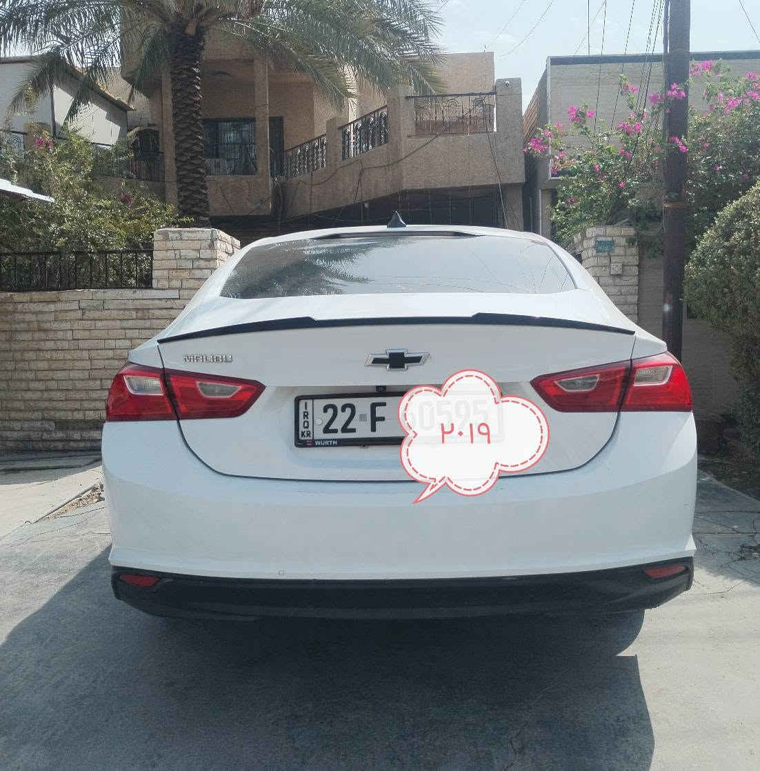 شوفرليت ماليبوا • ٢٠١٩ • وارد امريكي