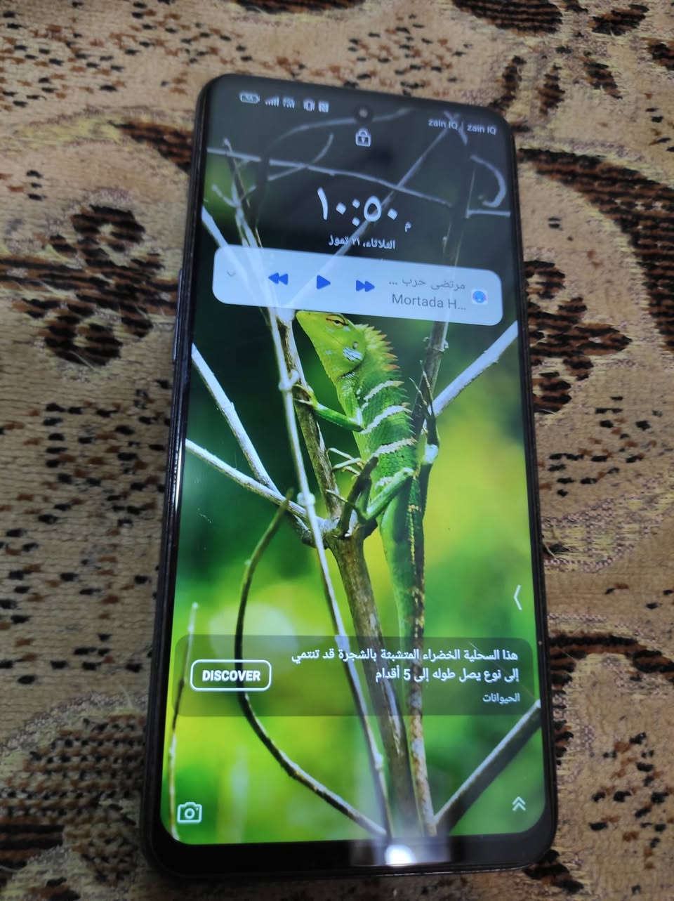 سلام عليكم موبايل نوبيا ذاكره256بي   فطر بل حساس بوبجي60فريم بي شفتات خطين فول لموبايل مكاني نجف  ***********لسعر 140
