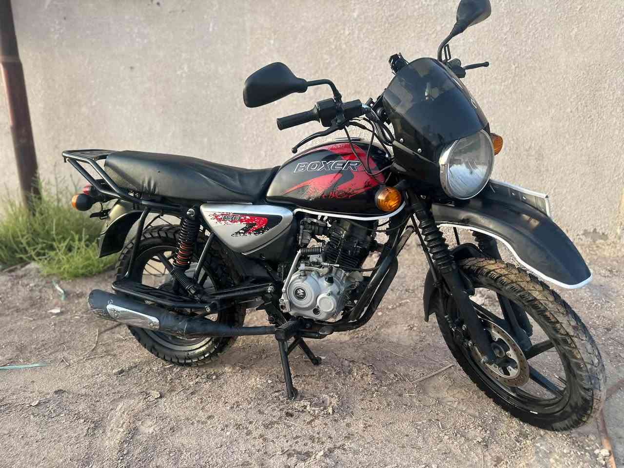 بوكسر جبلي • موديل 23 • رقم وسنويه