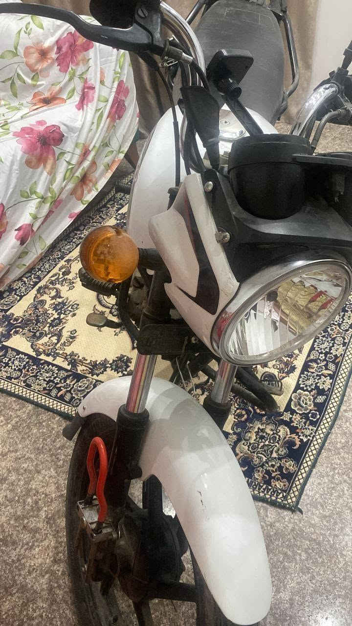 بوكسر • ٢٠٢٣ • مرقمة