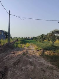 دونم • منطقة فنديه • سند 25