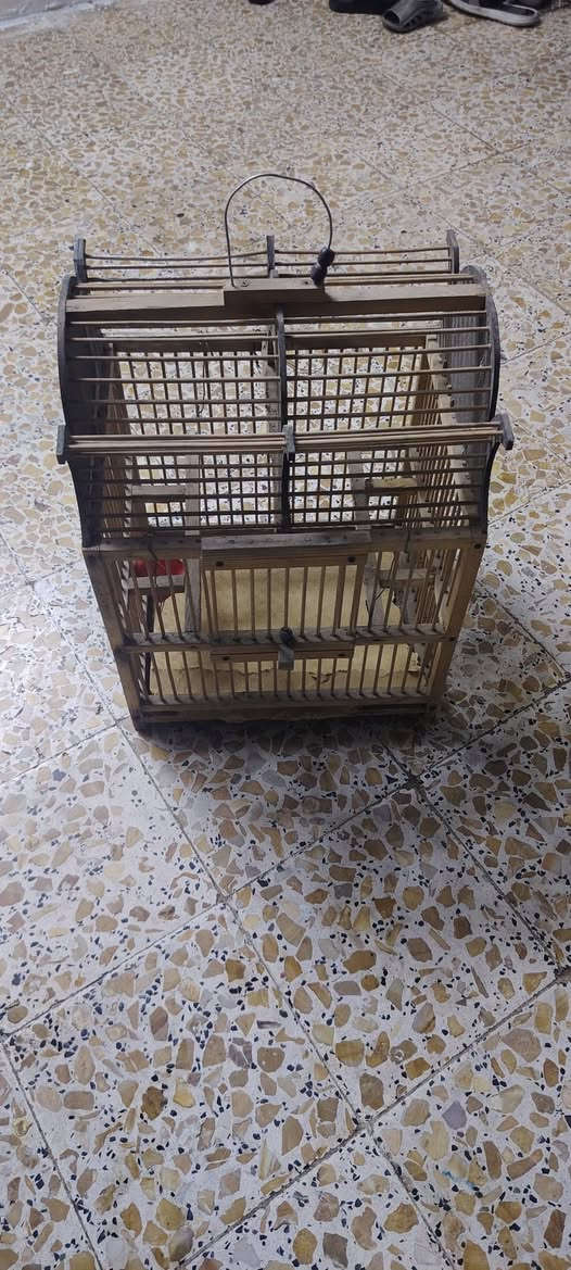 قفص البيع نظيف حلووو
السعر ١٠ الف ***********

