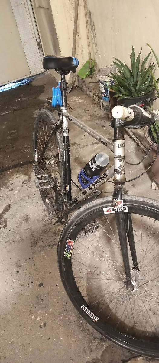 ياباني C700 • ٧ طكات • الحبيبية