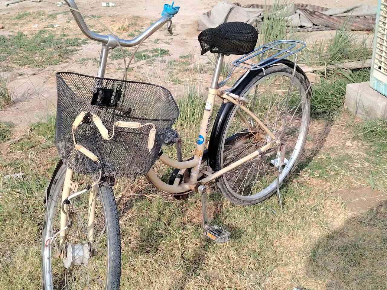 بايسكل ٢٦ • نضيف • يحتاج جوب خلفي